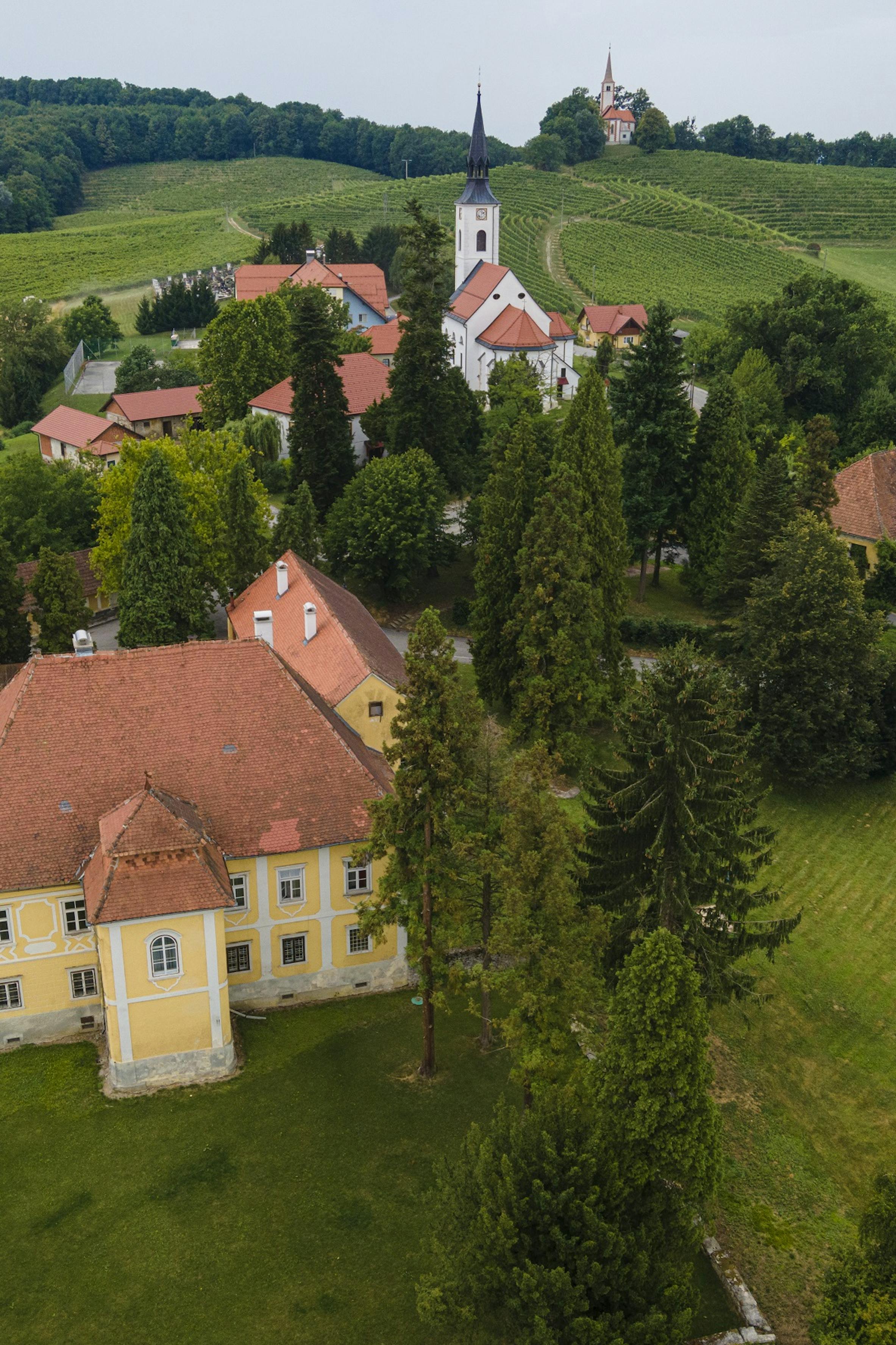 Zavrč